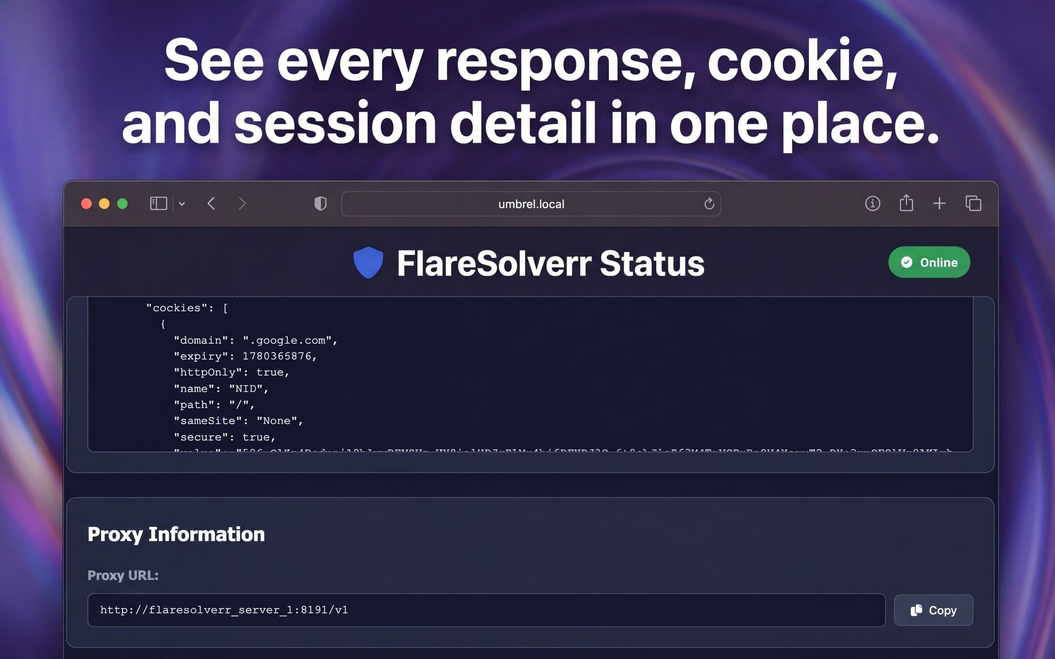 Screenshot 2 of flaresolverr app on Umbrel App Store