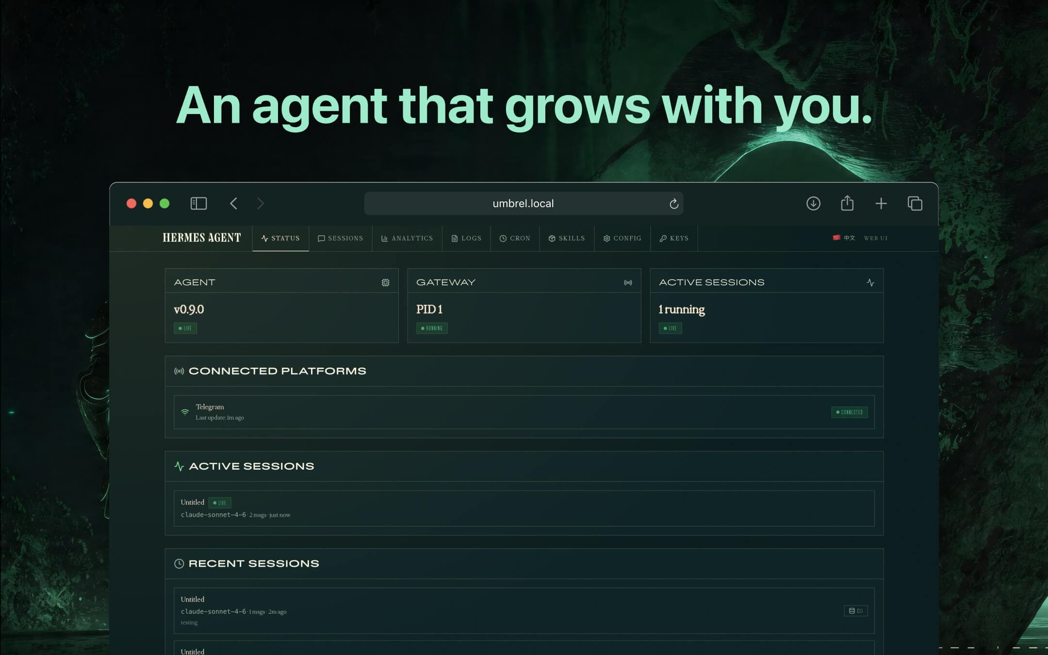 Screenshot 1 of Hermes Agent app on Umbrel App Store