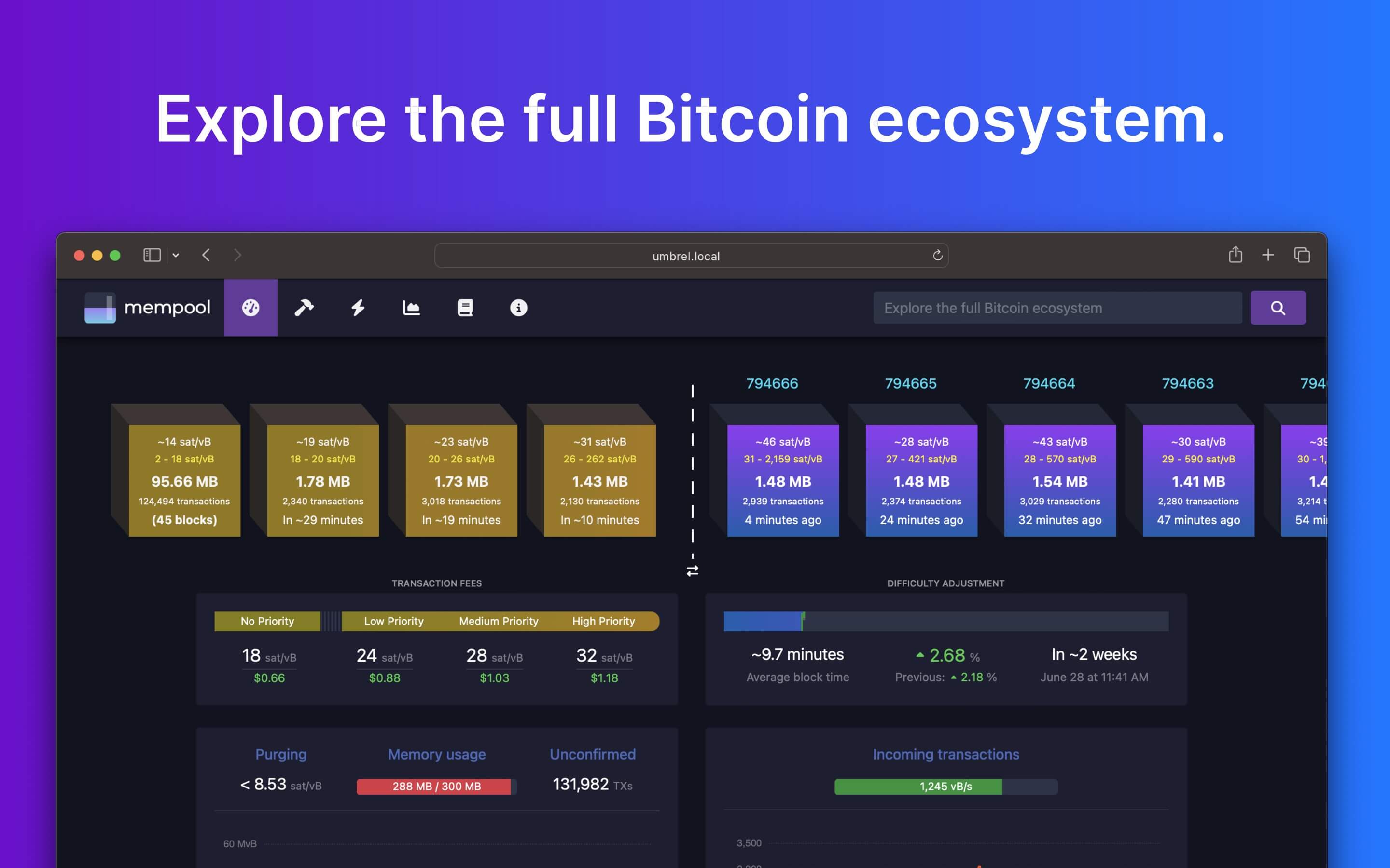 Screenshot 1 of mempool app on Umbrel App Store